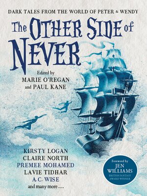 cover image of The  Other Side of Never
